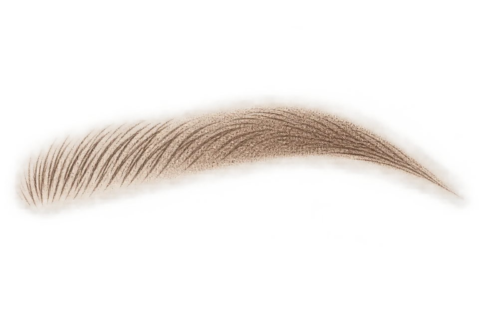 Illustration of combination brow pigment: hair-like lines at the left front blending into shaded body and tail.
